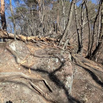 大岩の頭への登りがきつい…まさに大岩の続く道