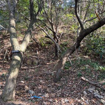 十文字山踏破。まるで山頂に見えない最後の山頂。