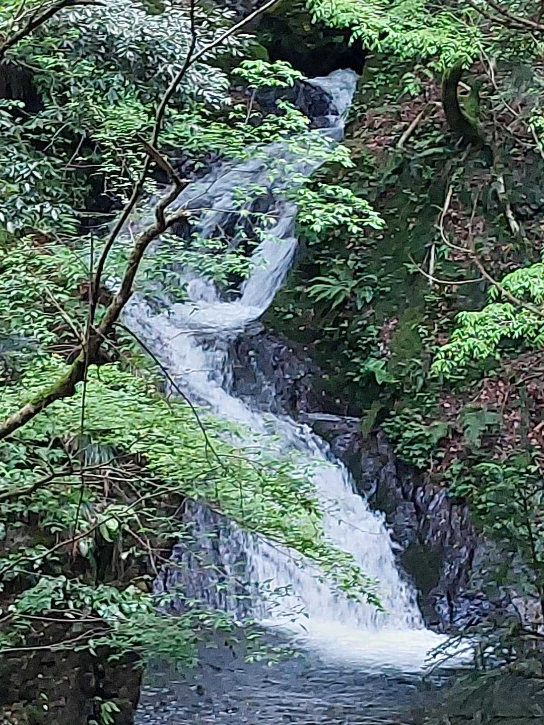 迫力満点の本流の滝