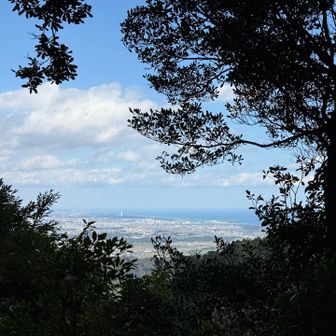 山小屋の裏からは、青島やシーガイヤが見えました