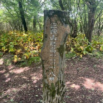 これがなかったら山頂とわかりません😅