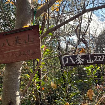 「八条山」🙌
近くに三角点があるようで、いつもなら見に行くところだけれど今日は割愛😩