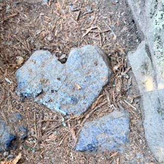 ハート石🤍
たくさんの野球少年たちが賑やかに登って行きます😊