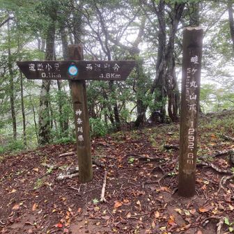 山頂
この後畦ヶ丸避難小屋でカップ麺ランチをして下山します。