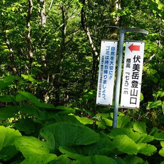ピッケル⛏️
さあ！ピパで⛺️テント張って67まで行くぞー✊