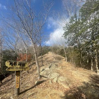 馬の蹄跡と言うらしい🐎
