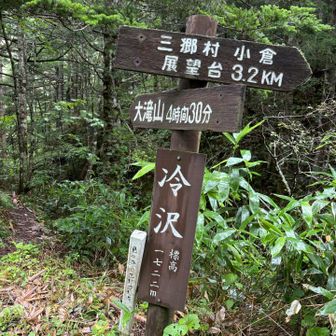 さあスタートです