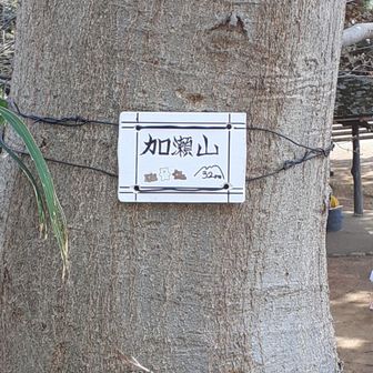 加瀬山いただきました。
シャキーン！🤭