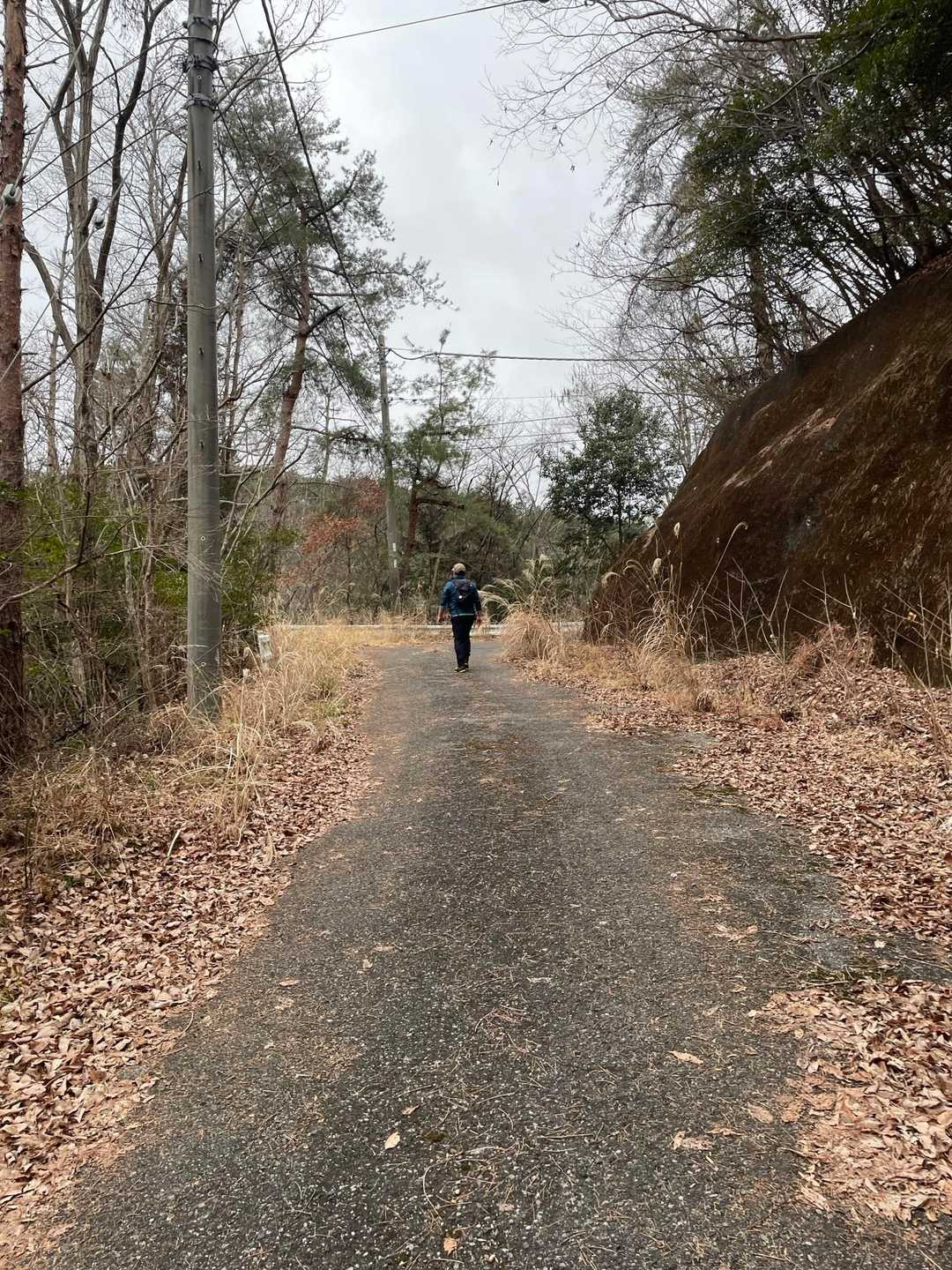 ずっとこんな感じの道… 
登山⁇って感じは余りしない😅