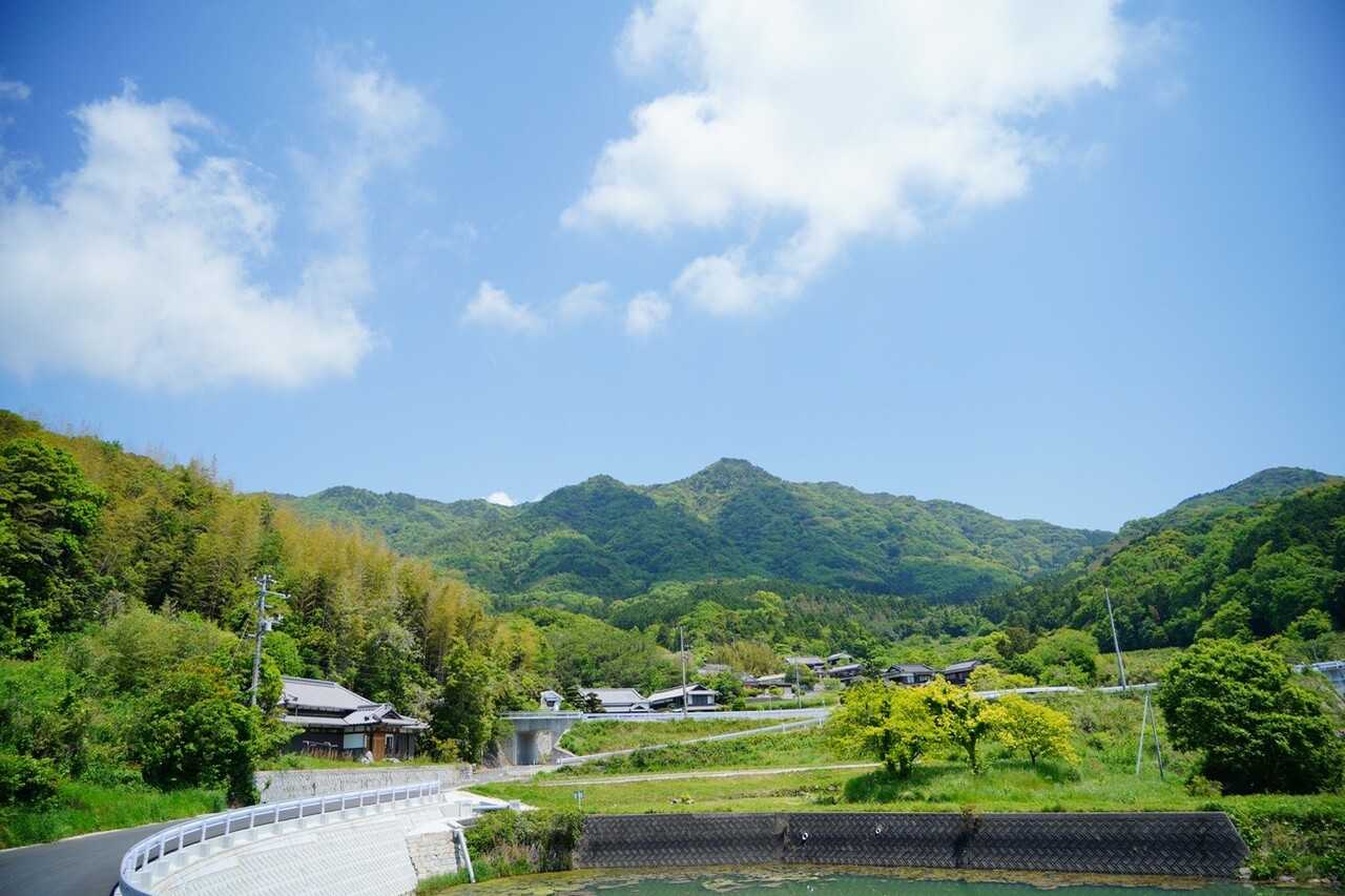 琴石山の写真