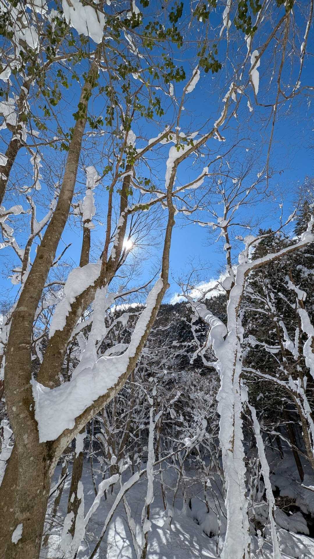 毛無山-出雲峠 周回コースの写真