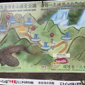 これから滝を巡ります