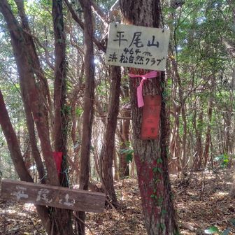 平尾山登頂。ここから宇利峠に下る激下りが一番の危険ポイント