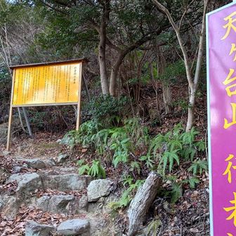 もっと奥深いところに居ってかと思っていたけど…