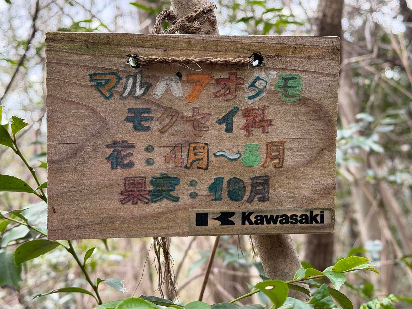 惣山-安場山-日光峠-高山-白雲谷温泉ゆぴか登山口 縦走コースの写真