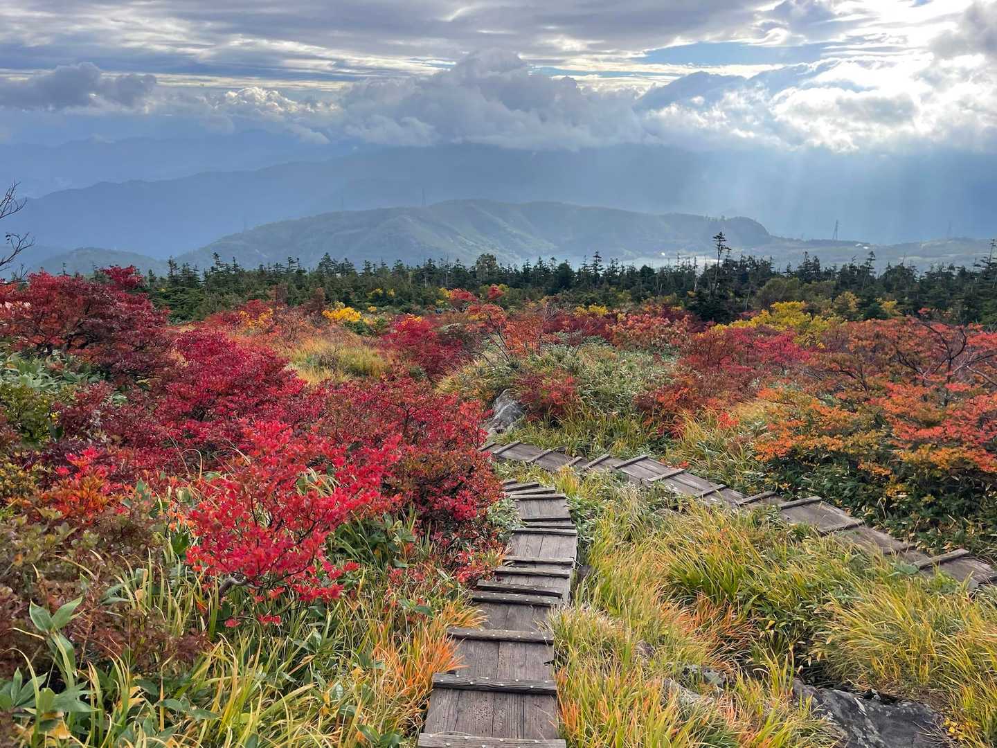 祓川コースの写真
