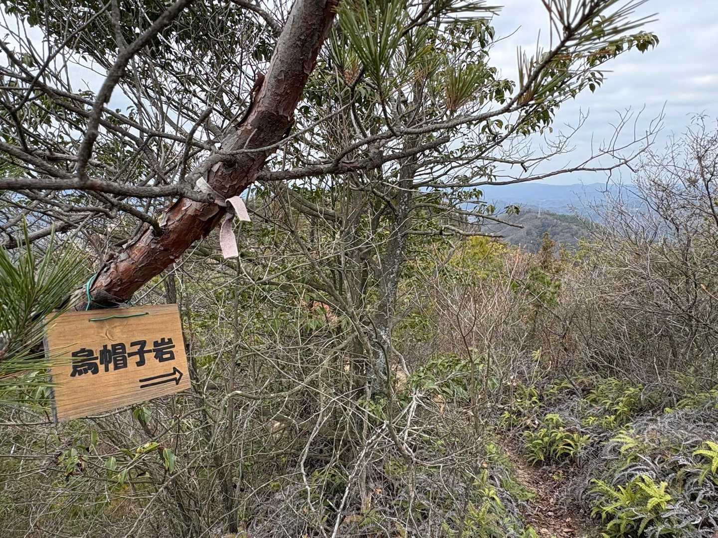 烏帽子岩🪨に行ってみよー