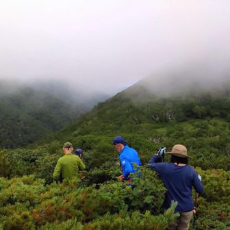 分岐に着き
真っ白のユニ石狩岳へ向かいます