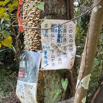 この先のルートは整備したので「容易に通れる」と書かれていますが、この言葉はフラグです💦ここからキツい道になります。