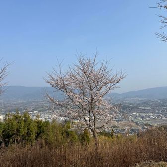ずいぶん登りました