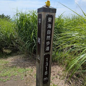 ⑥🚩平尾山1318mに登頂です🙌ヽ(=´▽`=)ﾉ
⑤つ目の大窪山見落とし？したみたい💦