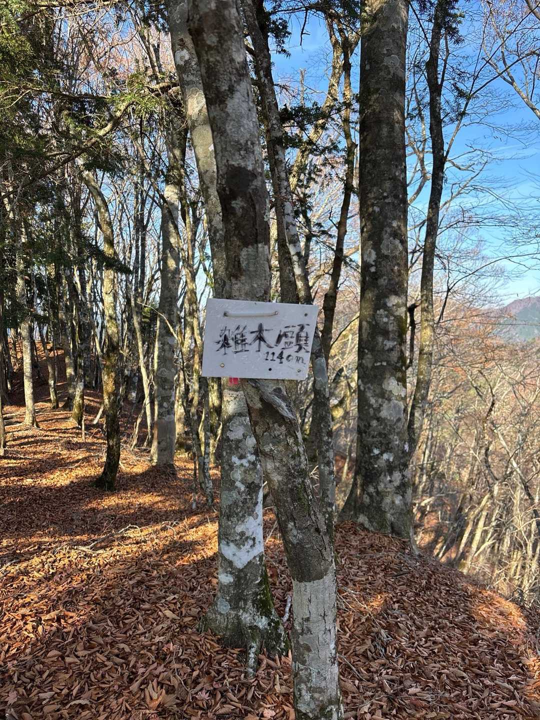 とにかく
落ち葉🍂が、、、歩きにくい