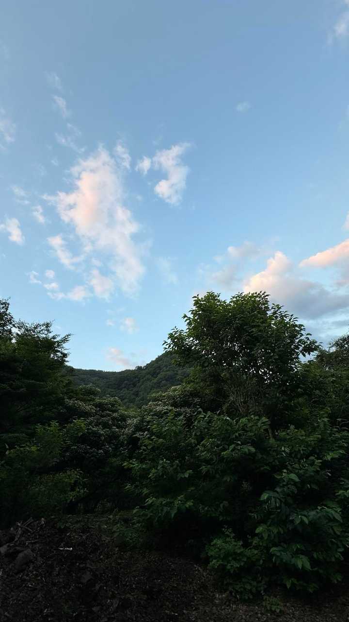 晴れ間