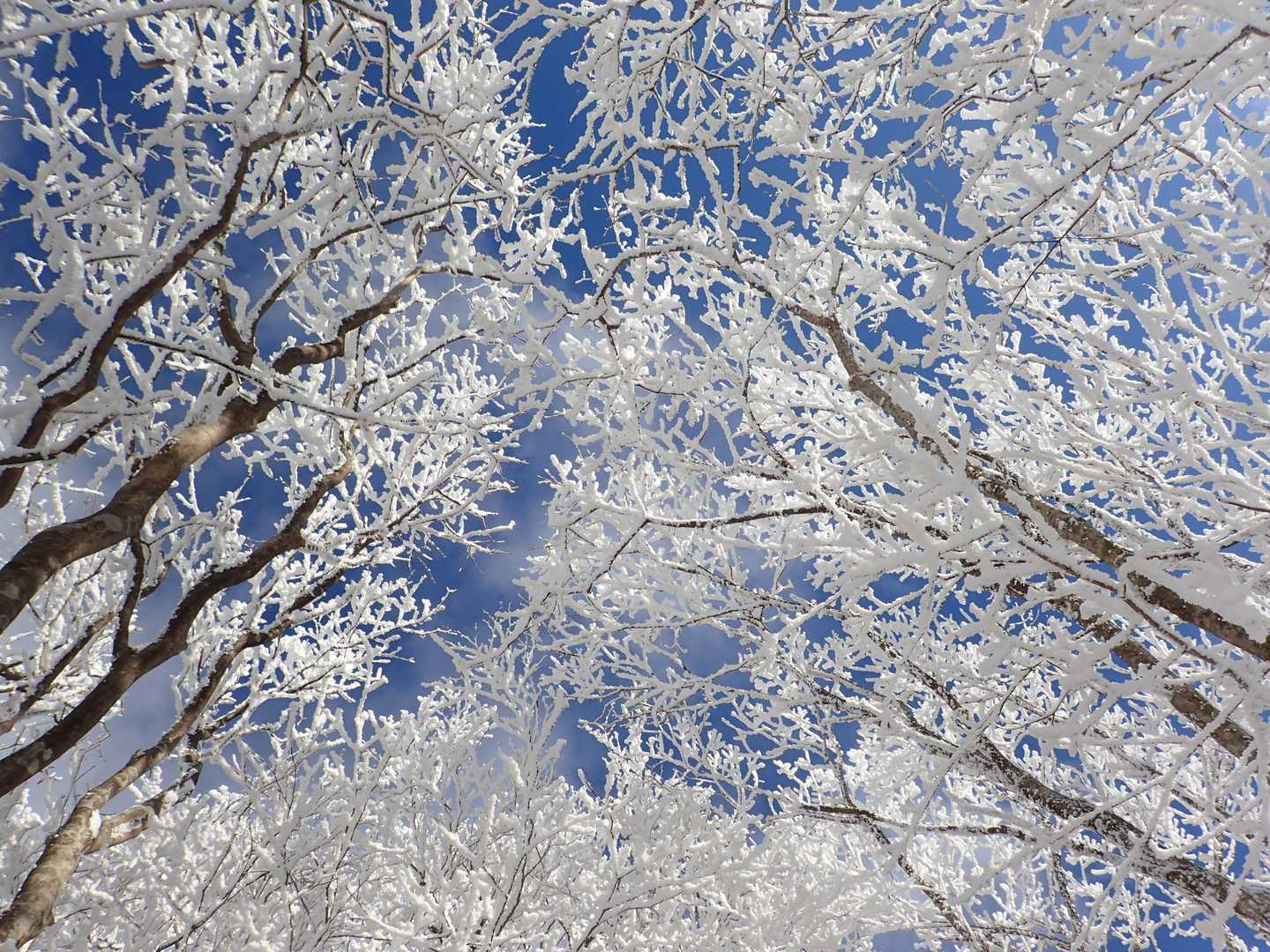 beautiful！