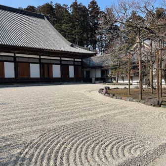 臥竜梅はまだまだ未開花