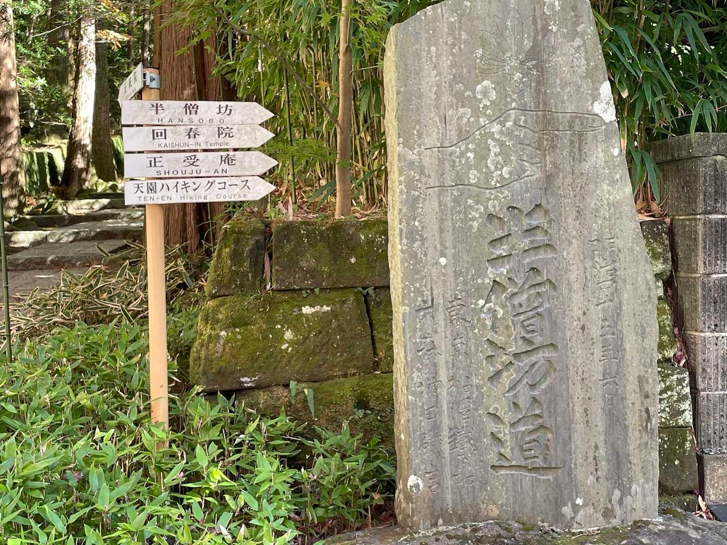 ここからハイキングコース
