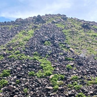 岩肌にやや植物が…