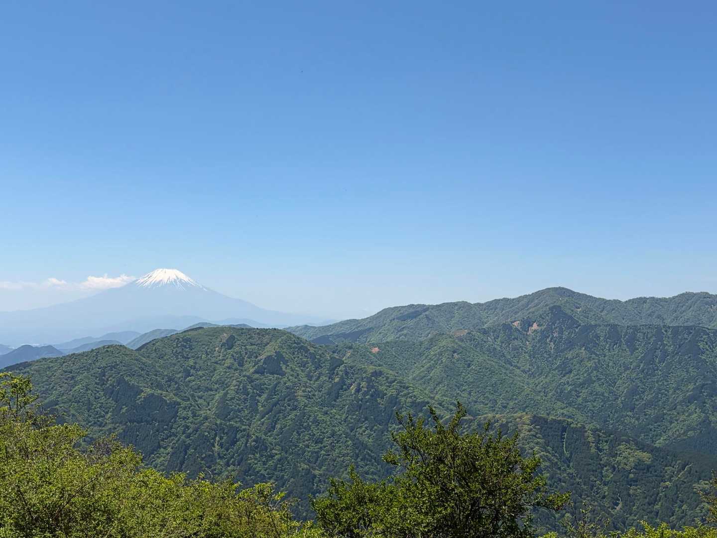 富士山と塔ノ岳も見えます