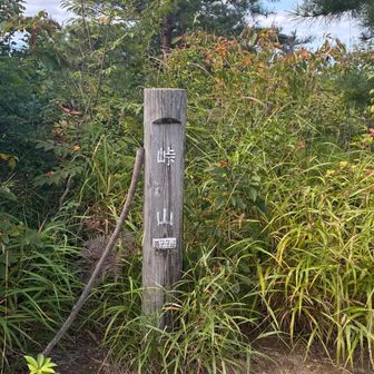 本当に峠