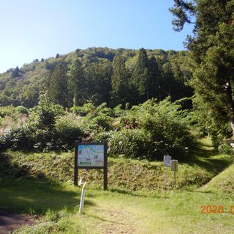 鳥居の沢登山口
いざ出発
