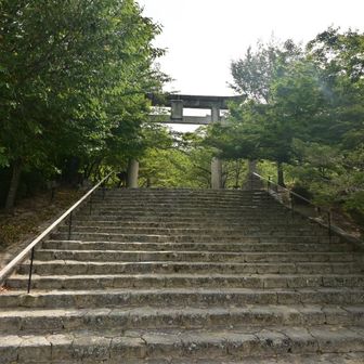 気持ち的にはこの鳥からスタート
