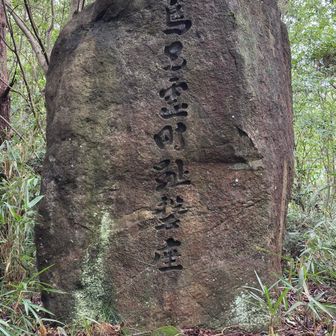 さて、まだまだ登ります