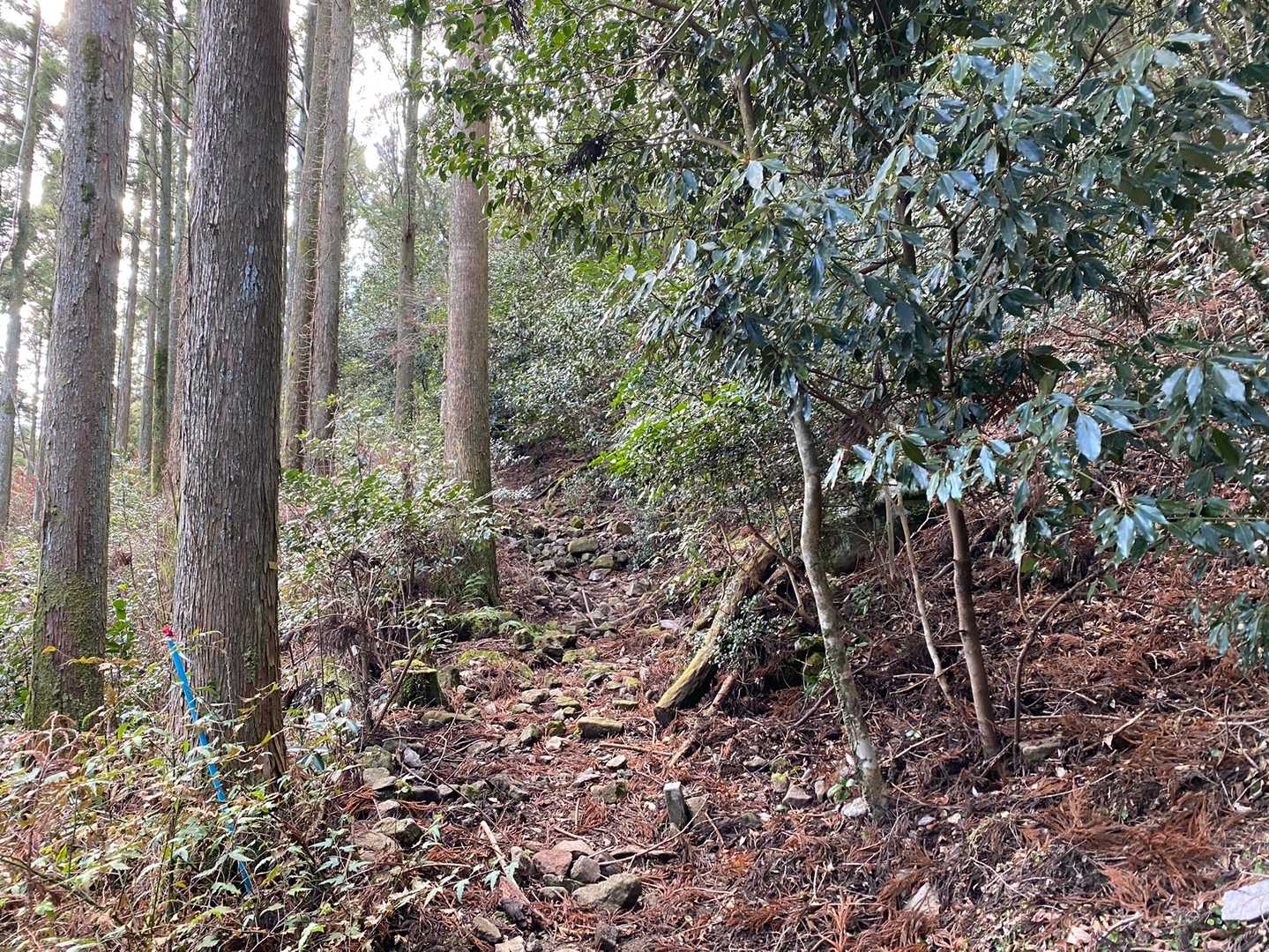 この辺りで転倒💦
太ももを強打して悶絶でした…
チビは寝てました(´-ω-`)