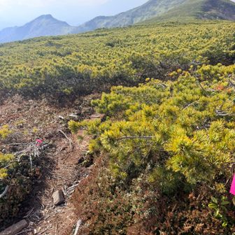 前ムカ分岐まで戻って次は武華山目指します🫡
