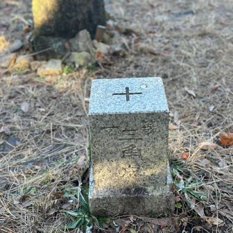 一等三角点▲✨