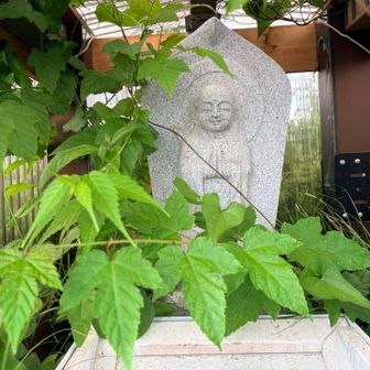 山頂は爽やかな風が吹き抜けている
こんにちは🙏