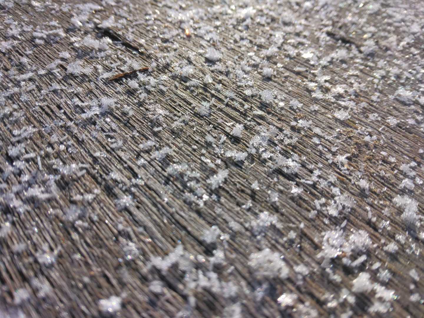 結晶してます。