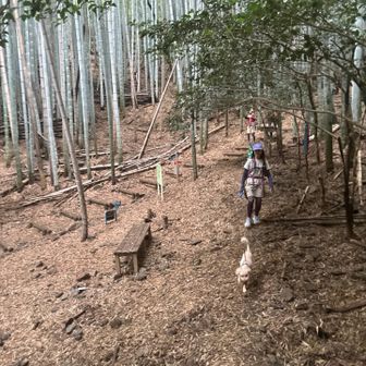 次のイベントへと竹林🎋は警戒🚨してる
フーちゃん😥　イノシシ🐗警戒かのぉ？！と