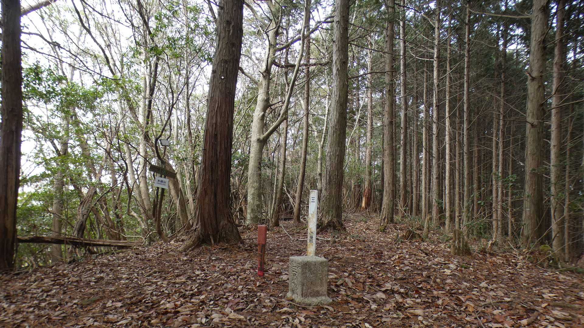 水越山山頂
三等三角点
基準点名：横山（よこやま）

”あさきた里山マスターズPart1”対象。
Part1って、やっぱり”S”なのでは。

登ってきた斜面を下りるのはは滑る気しかしない。
ループして戻りたいところだけれど、道があるかわからないので引き返し。