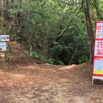 登山口、イノシシ注意🐗