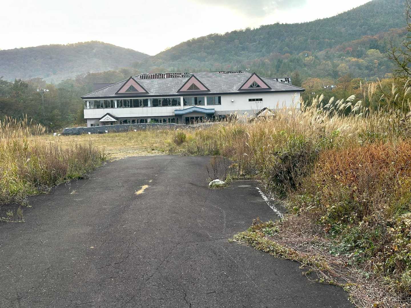 無事下りました。ありがとうございました😊