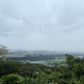 雲行きが怪しくなってきたぞ
