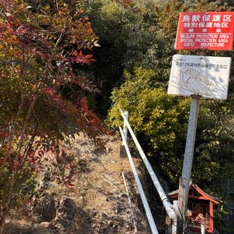 本日の低山縦走終わり🙌🏻
お疲れ様でした
楽しかったね🥰