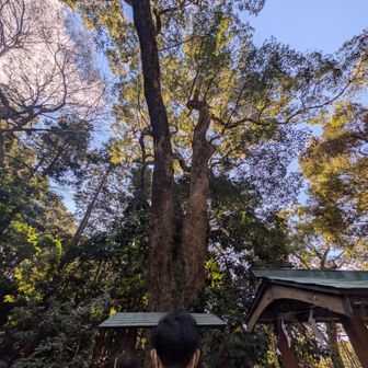 肖りたいですね～💰️