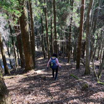 もう少しで　舗装道路… 左側は砂防ﾀﾞﾑが見える😃