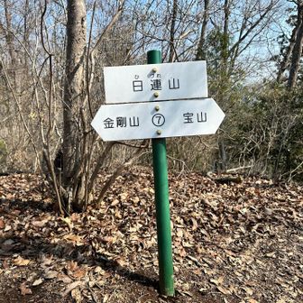 日連山（標高374m）に到着です❗️